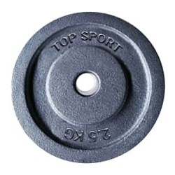 Kotouč LIFEFIT TS 2,5kg, kovový, pro 30mm tyč